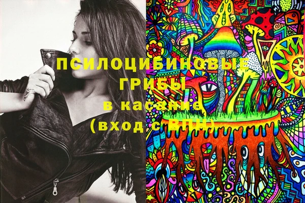 марки lsd Абаза
