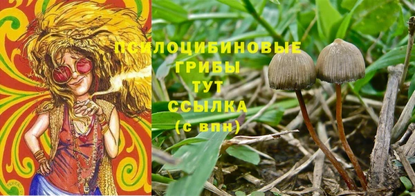 гидра Пестово